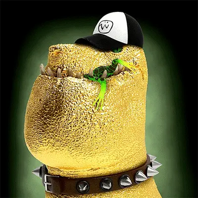 DinoDawgs
